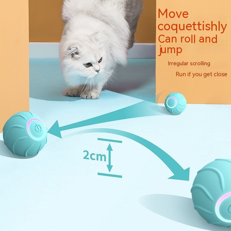 Robotic Rolling Toy for Cats