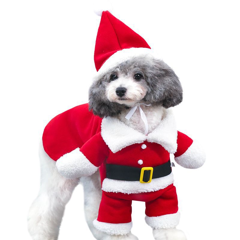 Christmas Santa Standing Pet Costume