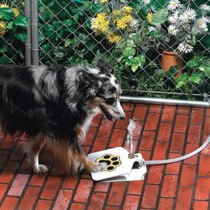 Outdoor Pet Water Fountain Pressure Plate