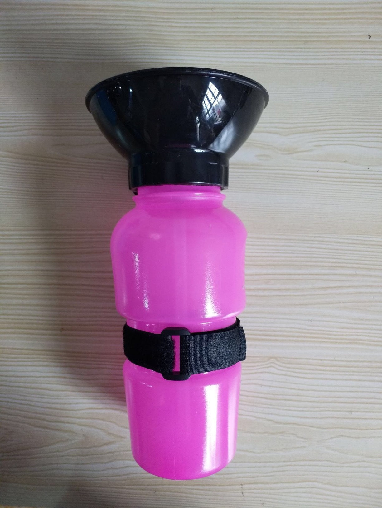 Squeeze Pet Water Bottle