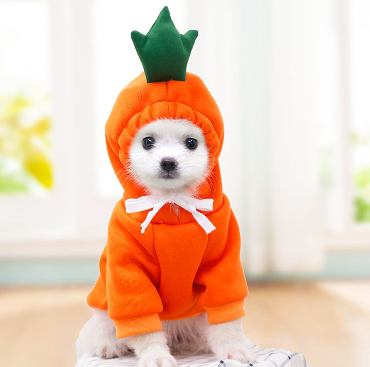 Pet Fruit Hoodies