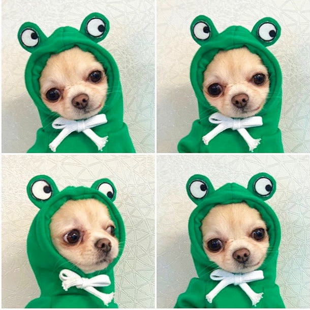 Pet Fruit Hoodies