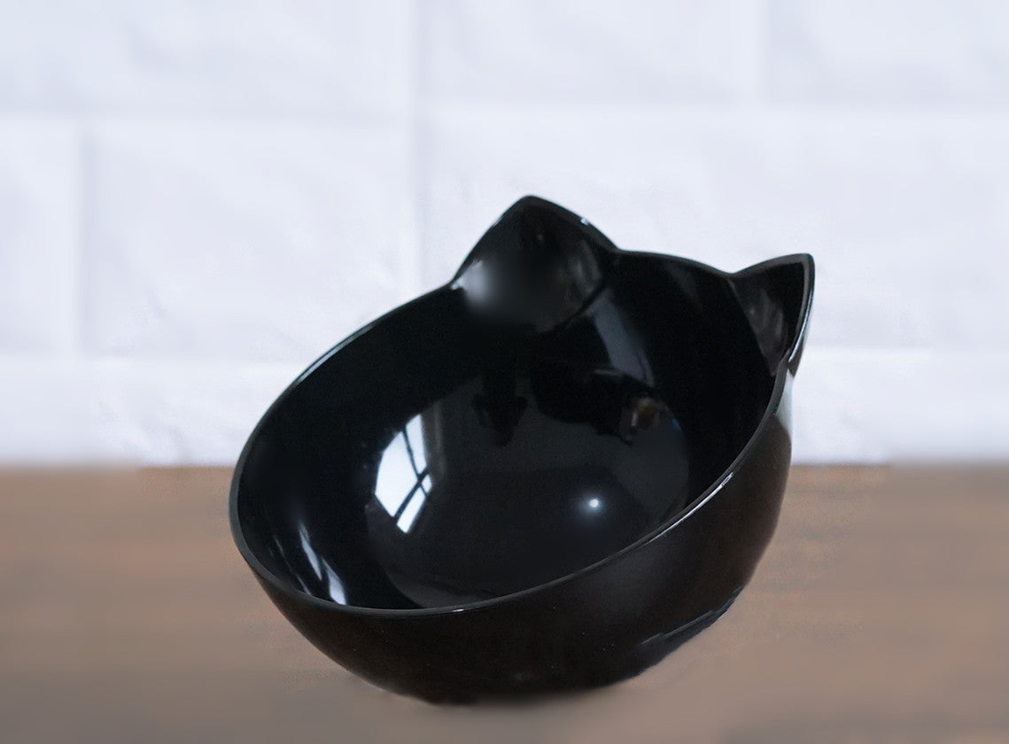 Modern Oblique Pet Feeding Bowls