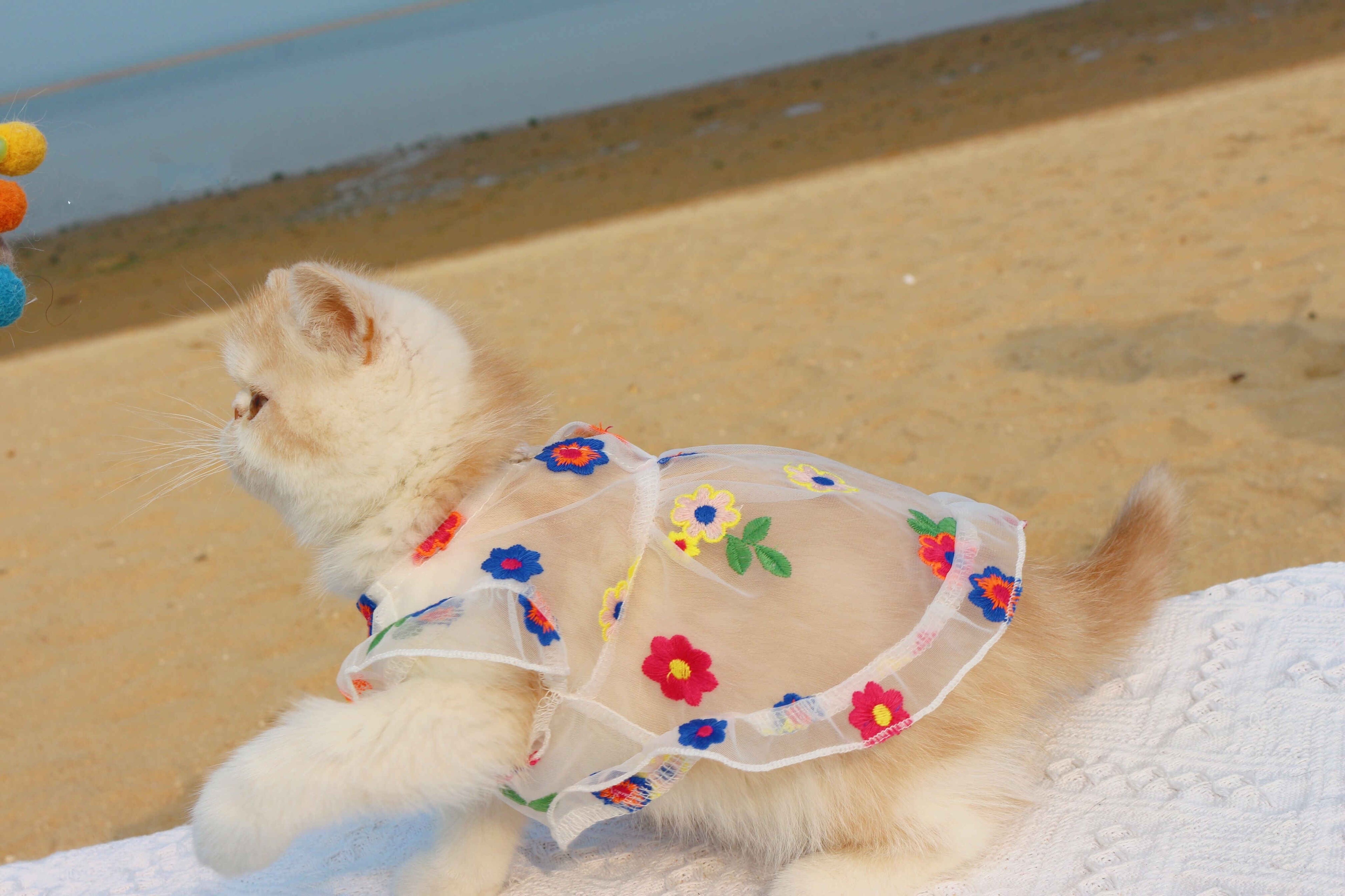 Embroidered Flower Cat Dress