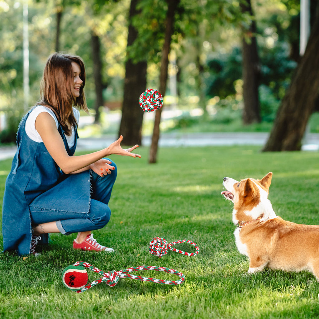 Christmas Rope Toy for Dogs