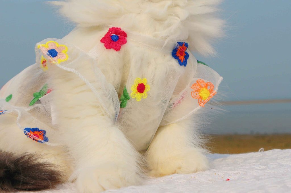 Embroidered Flower Cat Dress