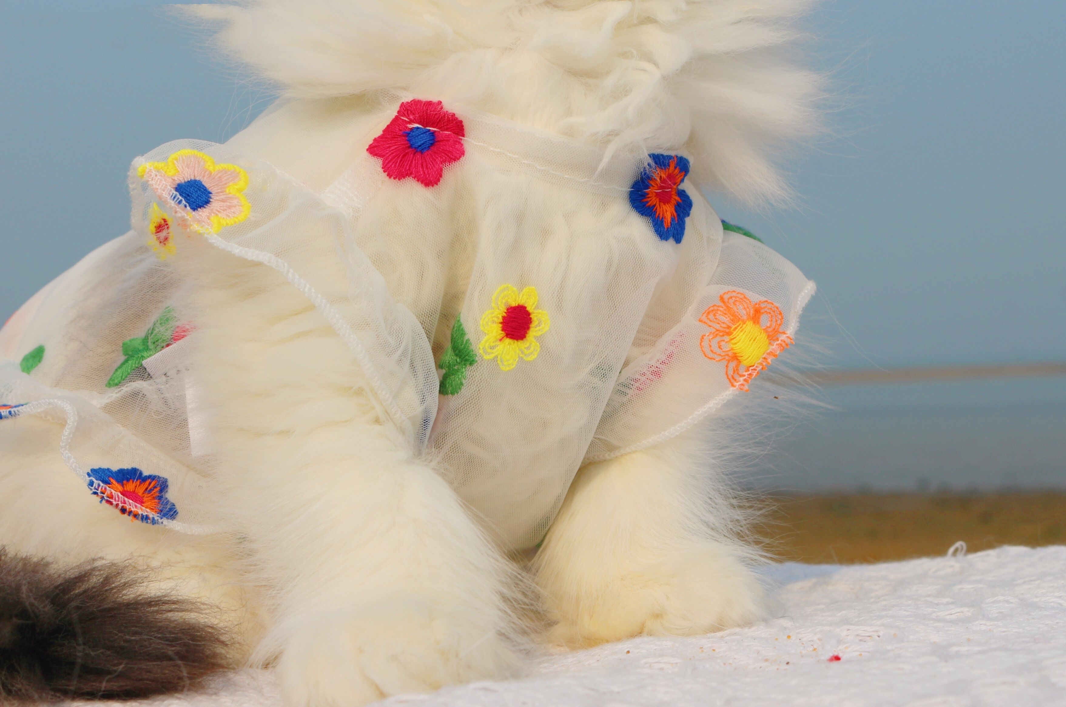 Embroidered Flower Cat Dress