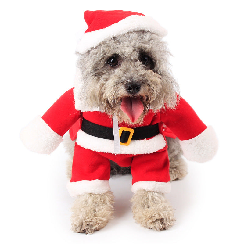 Christmas Santa Standing Pet Costume