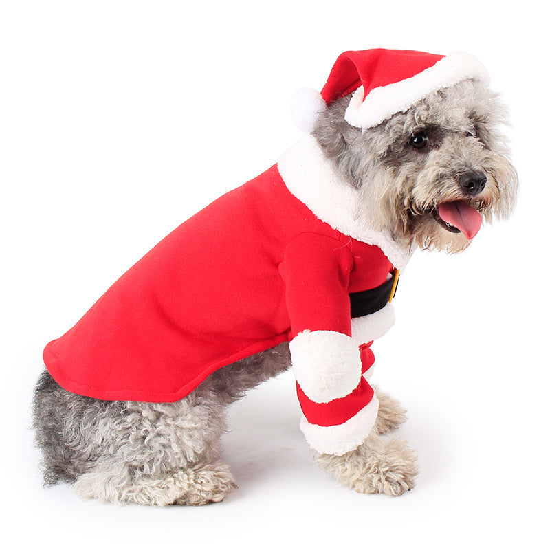Christmas Santa Standing Pet Costume