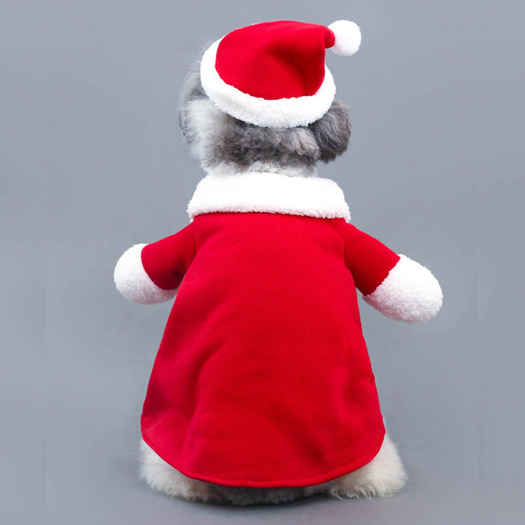 Christmas Santa Standing Pet Costume