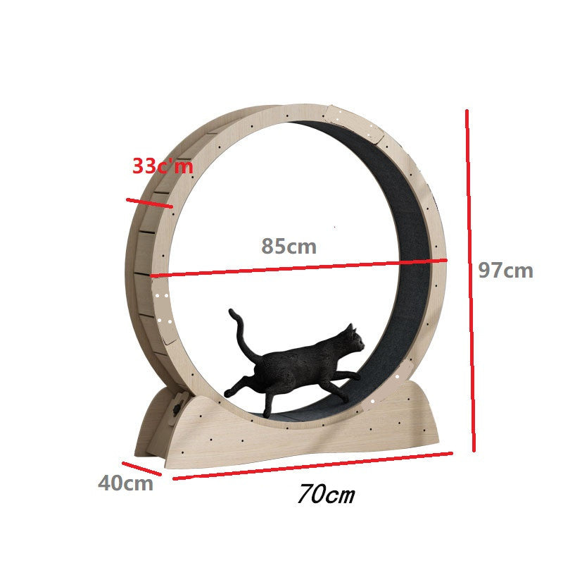 Cat Wheel
