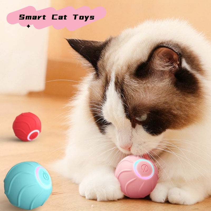 Robotic Rolling Toy for Cats