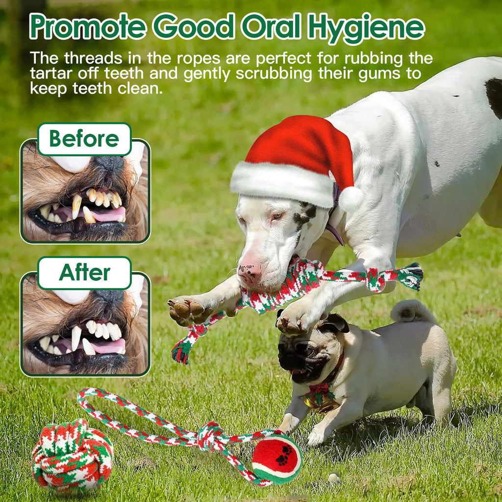 Christmas Rope Toy for Dogs