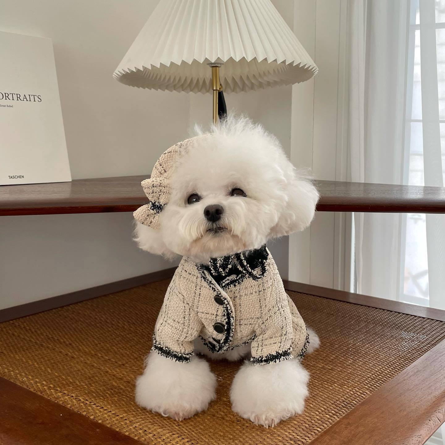 Classy Cotton Pet Clothes