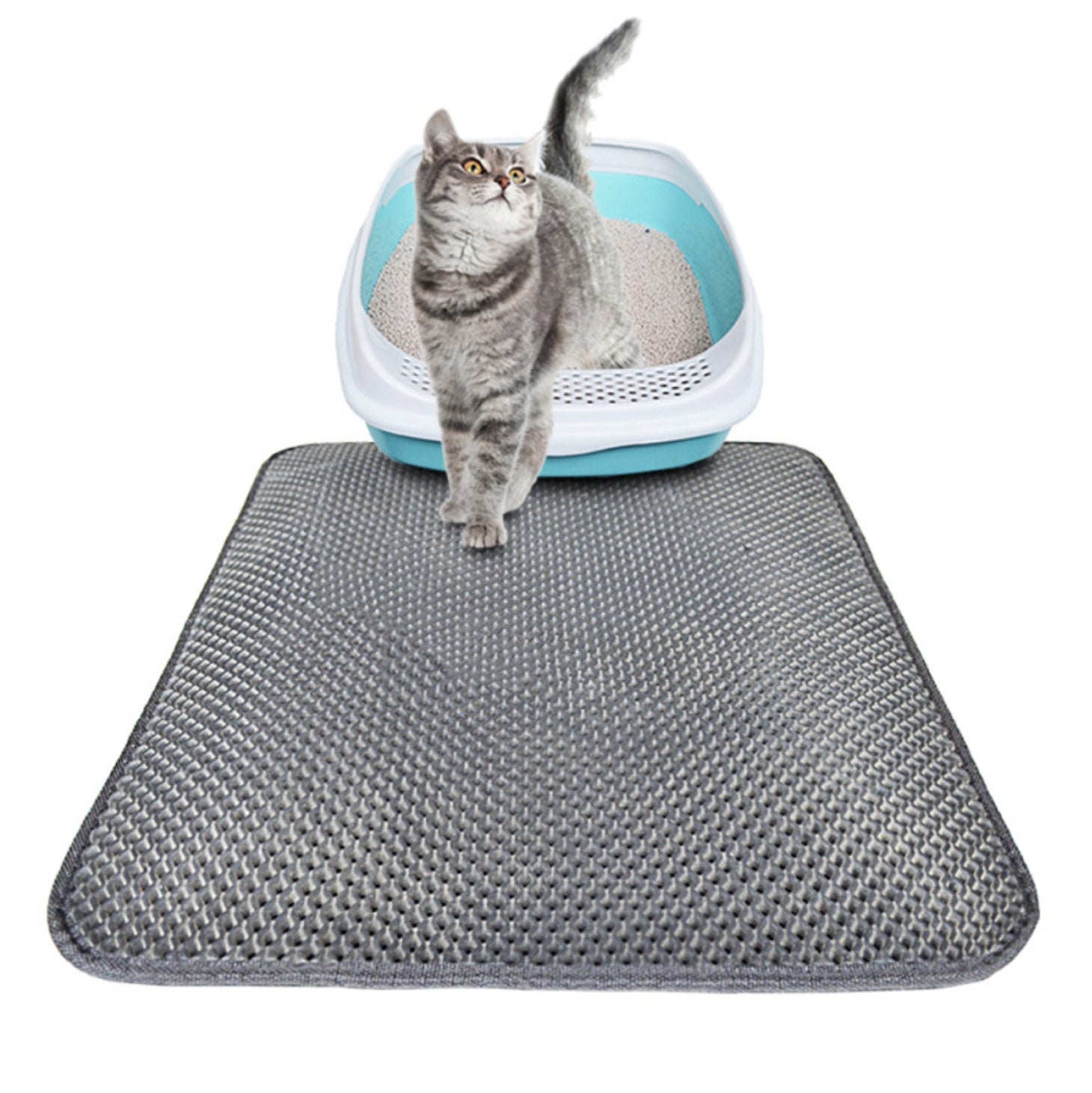 Litter Box Mat
