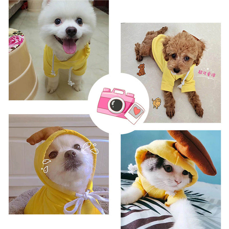 Pet Fruit Hoodies