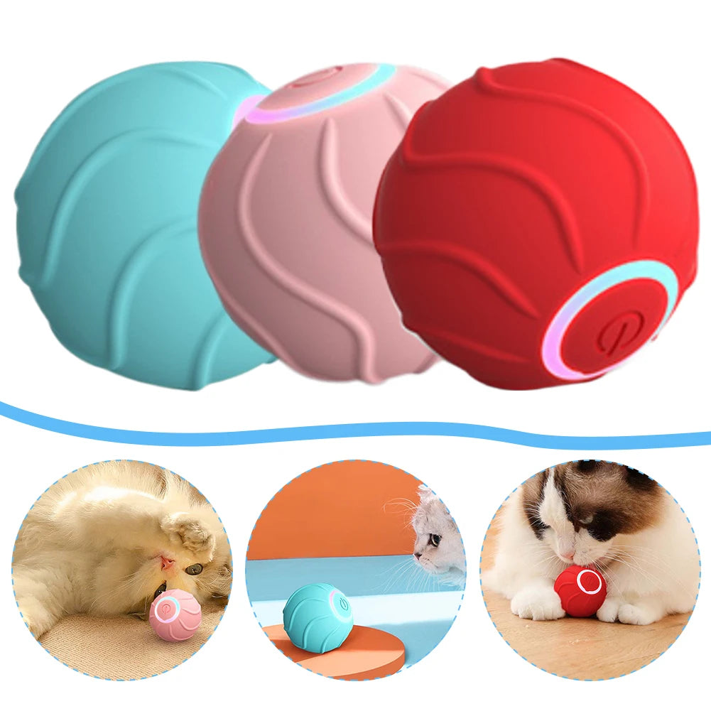 Robotic Rolling Toy for Cats