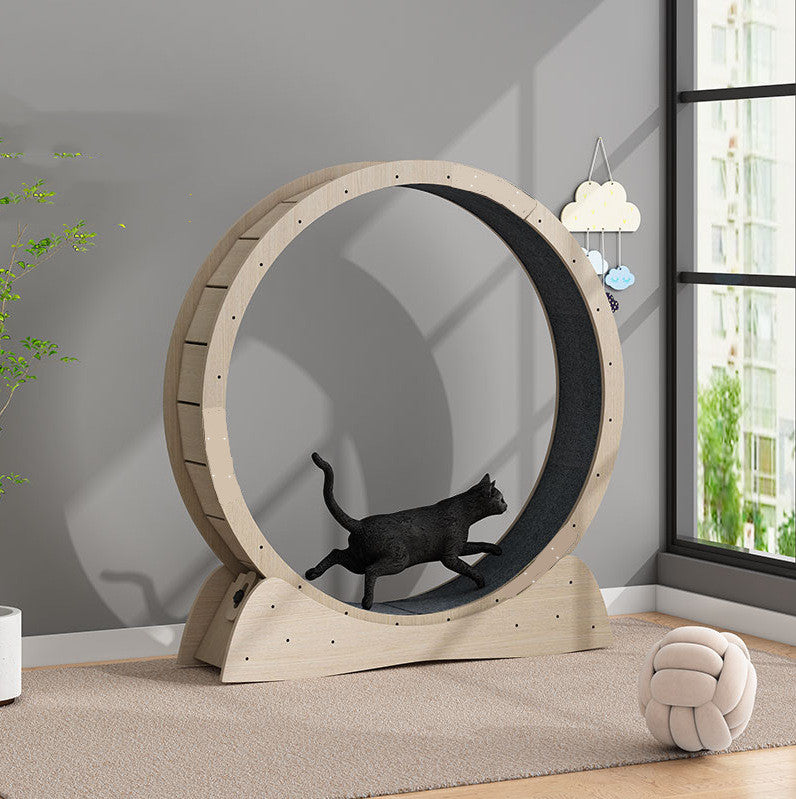 Cat Wheel