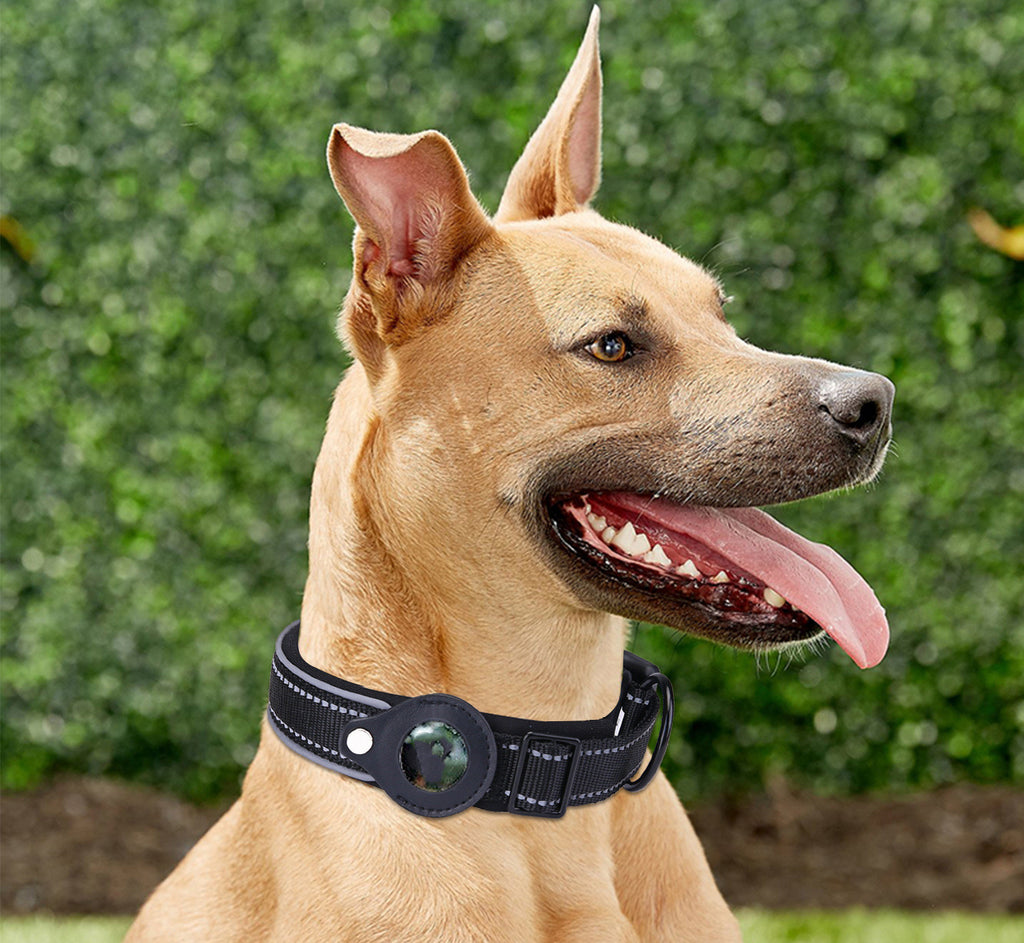 Nylon Adjustable Dog Collar