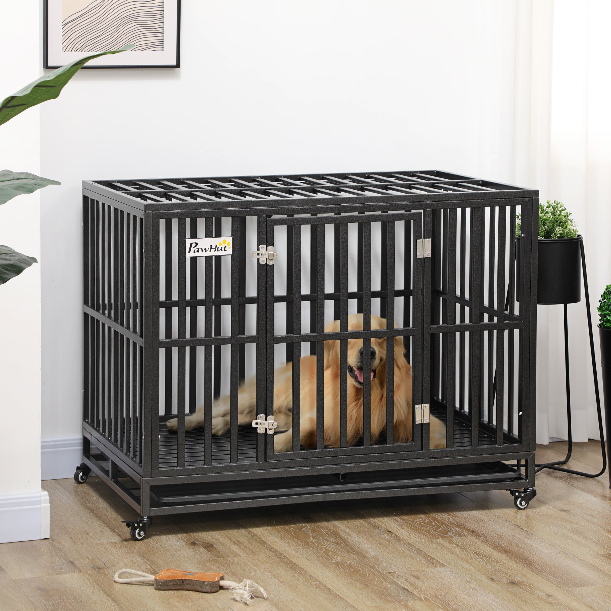 Steel Dog Crate