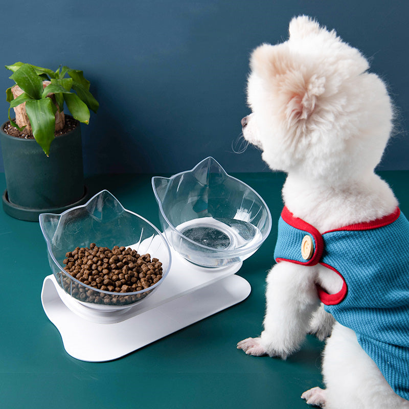 Modern Oblique Pet Feeding Bowls