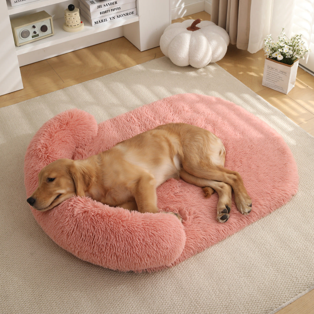 Simplistic Colored Pet Beds