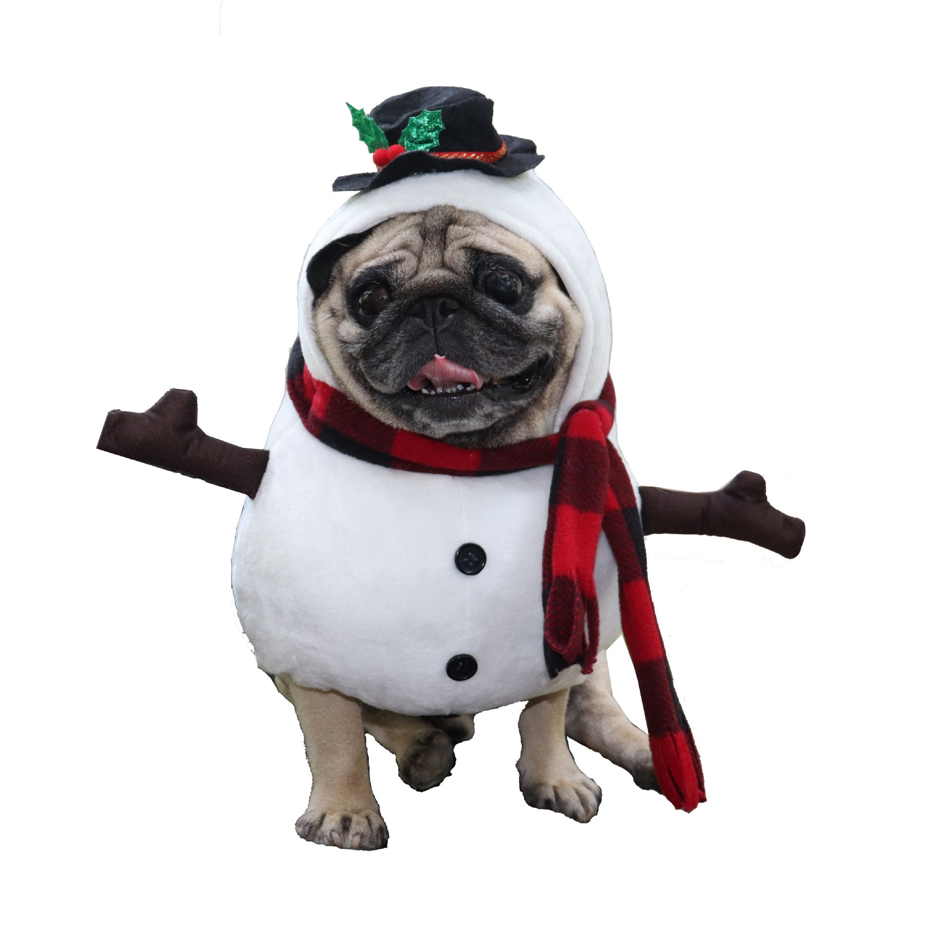Christmas Pet Snowman Costume