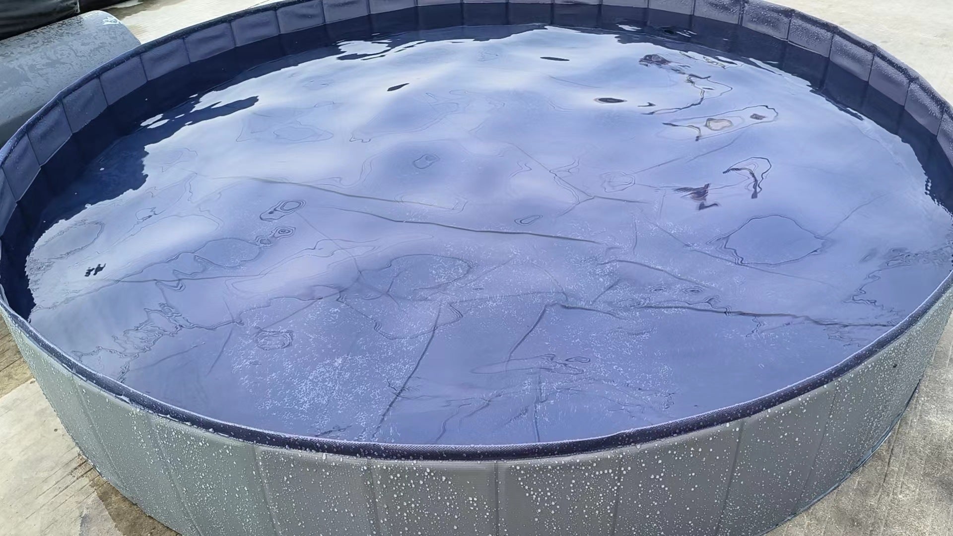 Foldable Pet Swimming Pools W/ Multiple Sizes