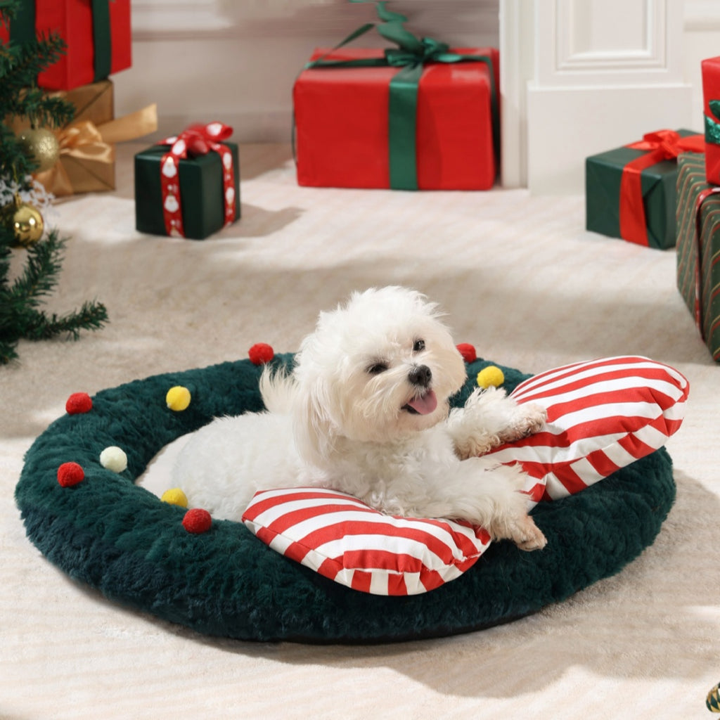 Assorted Christmas Pet Mats