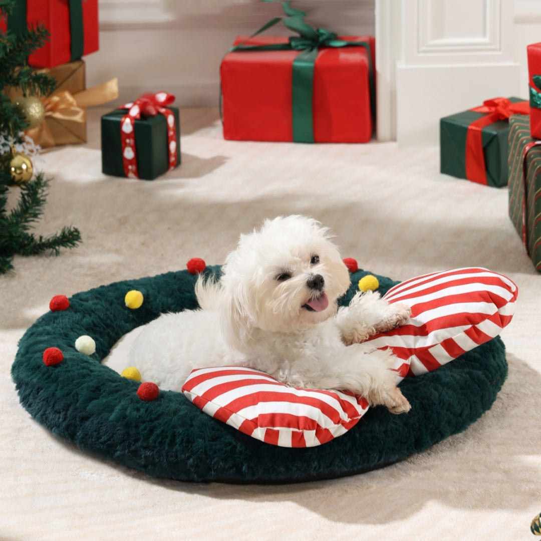 Assorted Christmas Pet Mats