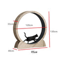 Cat Wheel